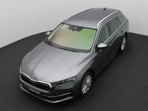 Annonce SKODA OCTAVIA Essence 2024 d'occasion 