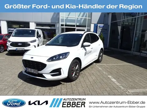 Used FORD KUGA Hybrid 2022 Ad 