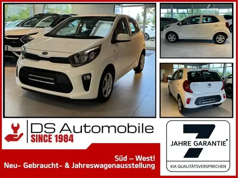 Used KIA PICANTO Petrol 2019 Ad 