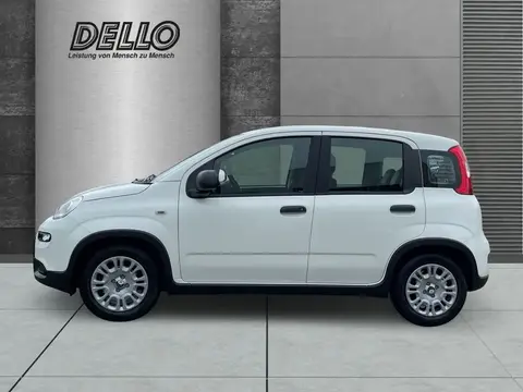 Annonce FIAT PANDA Essence 2024 d'occasion 