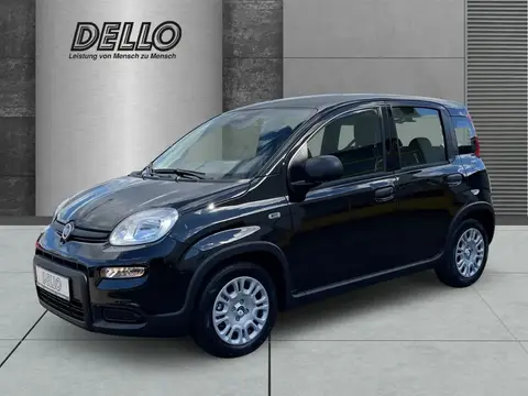 Used FIAT PANDA Petrol 2024 Ad 