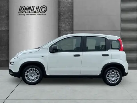 Used FIAT PANDA Petrol 2024 Ad 