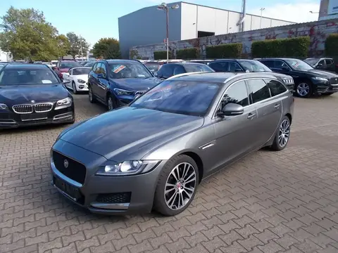 Used JAGUAR XF Petrol 2018 Ad 