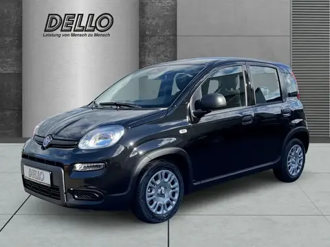 Annonce FIAT PANDA Essence 2024 d'occasion 