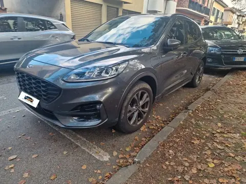 Used FORD KUGA Hybrid 2021 Ad 