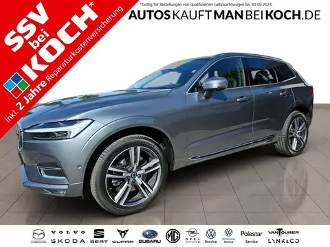 Used VOLVO XC60 Petrol 2019 Ad 