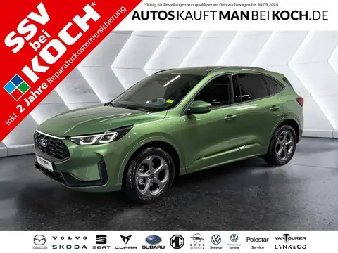 Annonce FORD KUGA Essence 2024 d'occasion 