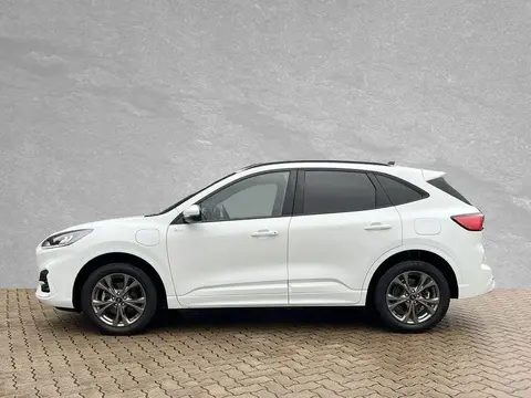 Annonce FORD KUGA Hybride 2022 d'occasion 