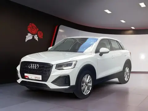 Annonce AUDI Q2 Essence 2024 d'occasion 