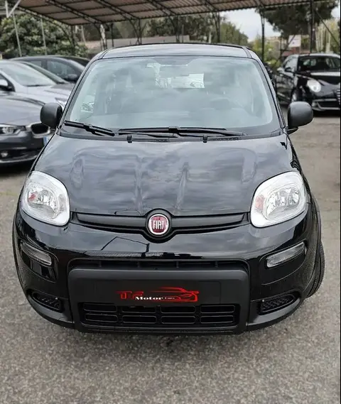 Annonce FIAT PANDA Hybride 2023 d'occasion 