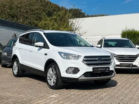 Annonce FORD KUGA Diesel 2019 d'occasion 