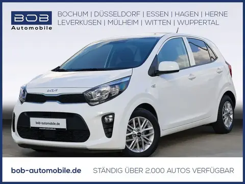 Used KIA PICANTO Petrol 2022 Ad 