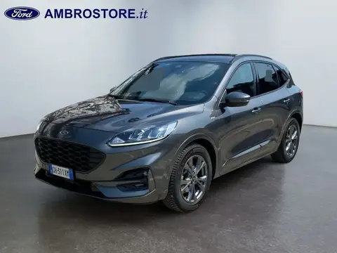 Used FORD KUGA Diesel 2022 Ad 