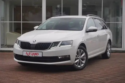 Annonce SKODA OCTAVIA Diesel 2020 d'occasion 