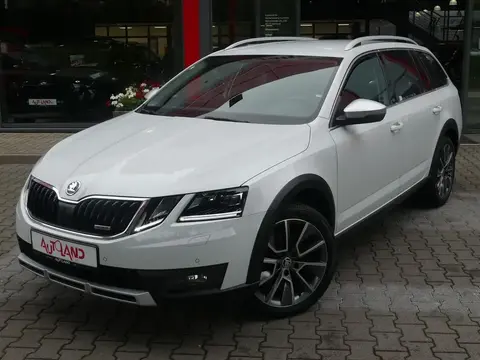 Used SKODA OCTAVIA Diesel 2019 Ad 