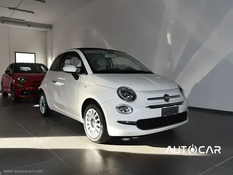 Annonce FIAT 500 Essence 2019 d'occasion 