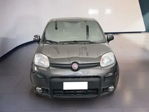 Annonce FIAT PANDA Hybride 2021 d'occasion 