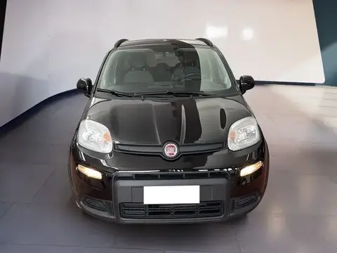 Used FIAT PANDA Hybrid 2022 Ad 