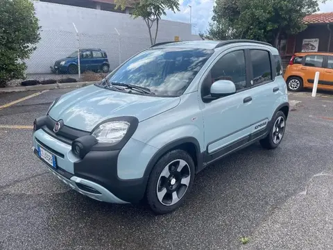 Annonce FIAT PANDA Hybride 2020 d'occasion 