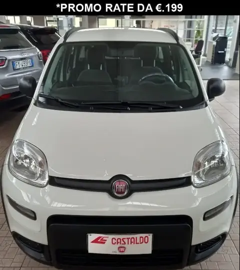 Annonce FIAT PANDA Hybride 2022 d'occasion 