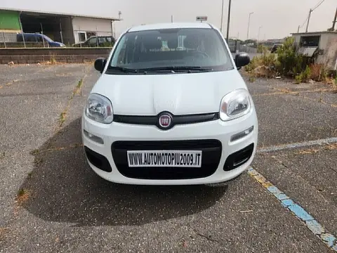 Annonce FIAT PANDA Essence 2020 d'occasion 