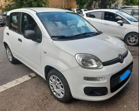 Used FIAT PANDA Petrol 2019 Ad 