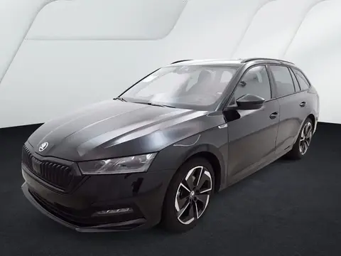 Annonce SKODA OCTAVIA Diesel 2024 d'occasion 