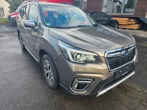 Used SUBARU FORESTER Hybrid 2020 Ad 