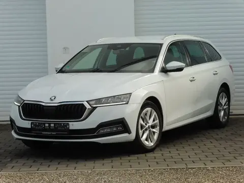 Used SKODA OCTAVIA Diesel 2020 Ad 