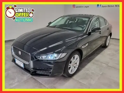 Used JAGUAR XE Diesel 2019 Ad 