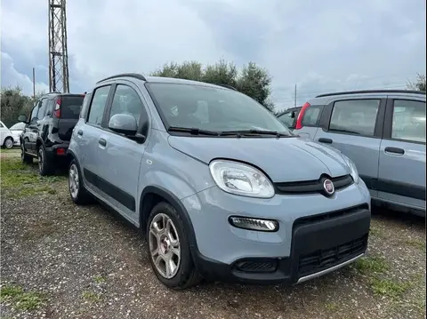 Annonce FIAT PANDA Hybride 2023 d'occasion 