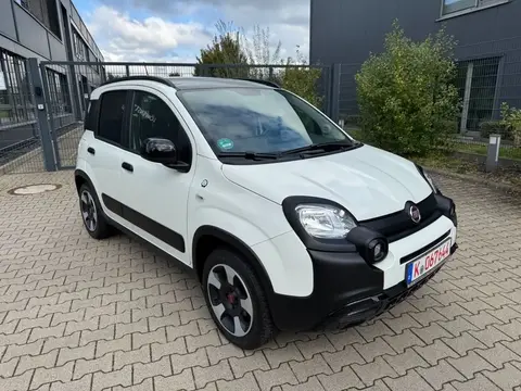 Used FIAT PANDA Petrol 2019 Ad 