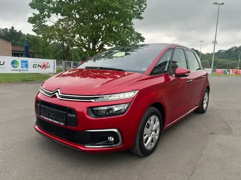 Annonce CITROEN C4 Diesel 2017 d'occasion 