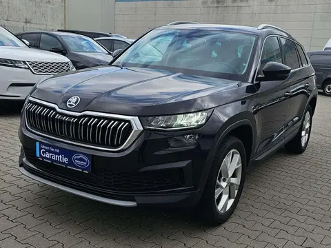 Annonce SKODA KODIAQ Diesel 2023 d'occasion 