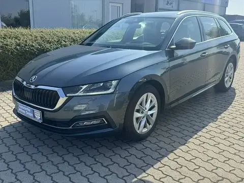 Annonce SKODA OCTAVIA Diesel 2020 d'occasion 