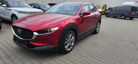 Annonce MAZDA CX-30 Essence 2022 d'occasion 