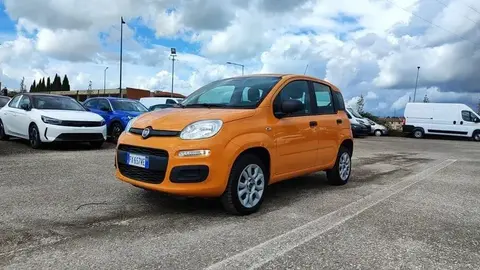 Annonce FIAT PANDA  2019 d'occasion 