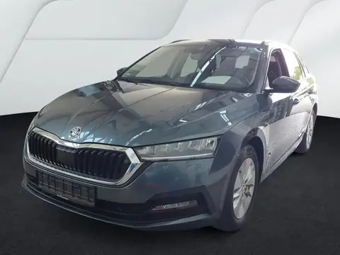 Annonce SKODA OCTAVIA Diesel 2021 d'occasion 