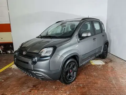 Annonce FIAT PANDA Hybride 2023 d'occasion 