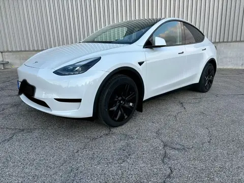 Used TESLA MODEL Y Not specified 2024 Ad 