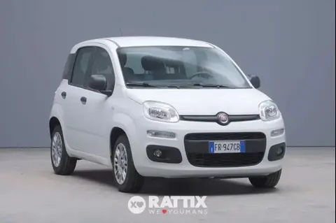 Used FIAT PANDA Diesel 2018 Ad 