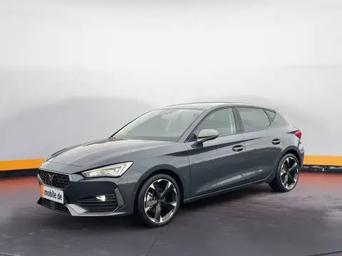 Used CUPRA LEON Diesel 2024 Ad 