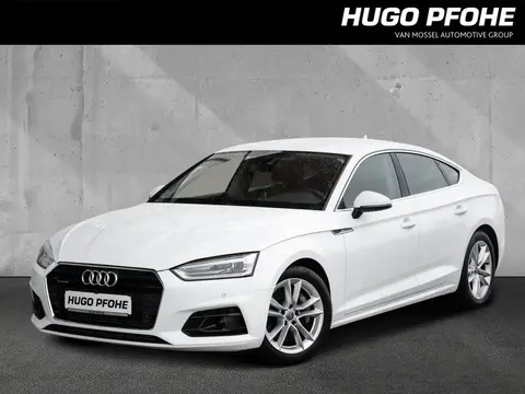 Used AUDI A5 Diesel 2019 Ad 