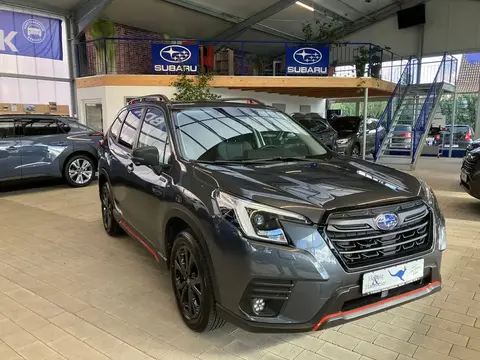 Annonce SUBARU FORESTER Essence 2024 d'occasion 