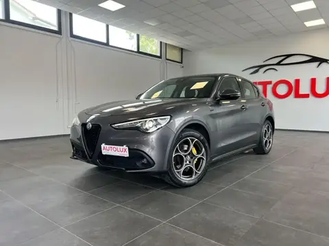 Annonce ALFA ROMEO STELVIO Diesel 2020 d'occasion 