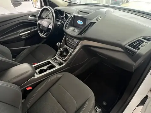 Used FORD KUGA Diesel 2018 Ad 