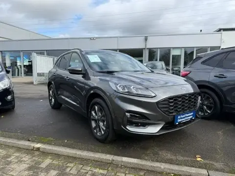 Annonce FORD KUGA Hybride 2024 d'occasion 