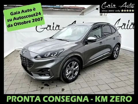 Used FORD KUGA Hybrid 2023 Ad 