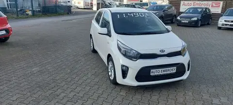 Annonce KIA PICANTO Essence 2021 d'occasion 