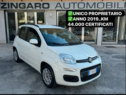 Annonce FIAT PANDA Essence 2019 d'occasion 